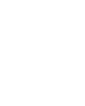 Over 95.3% are hired by local and international companies