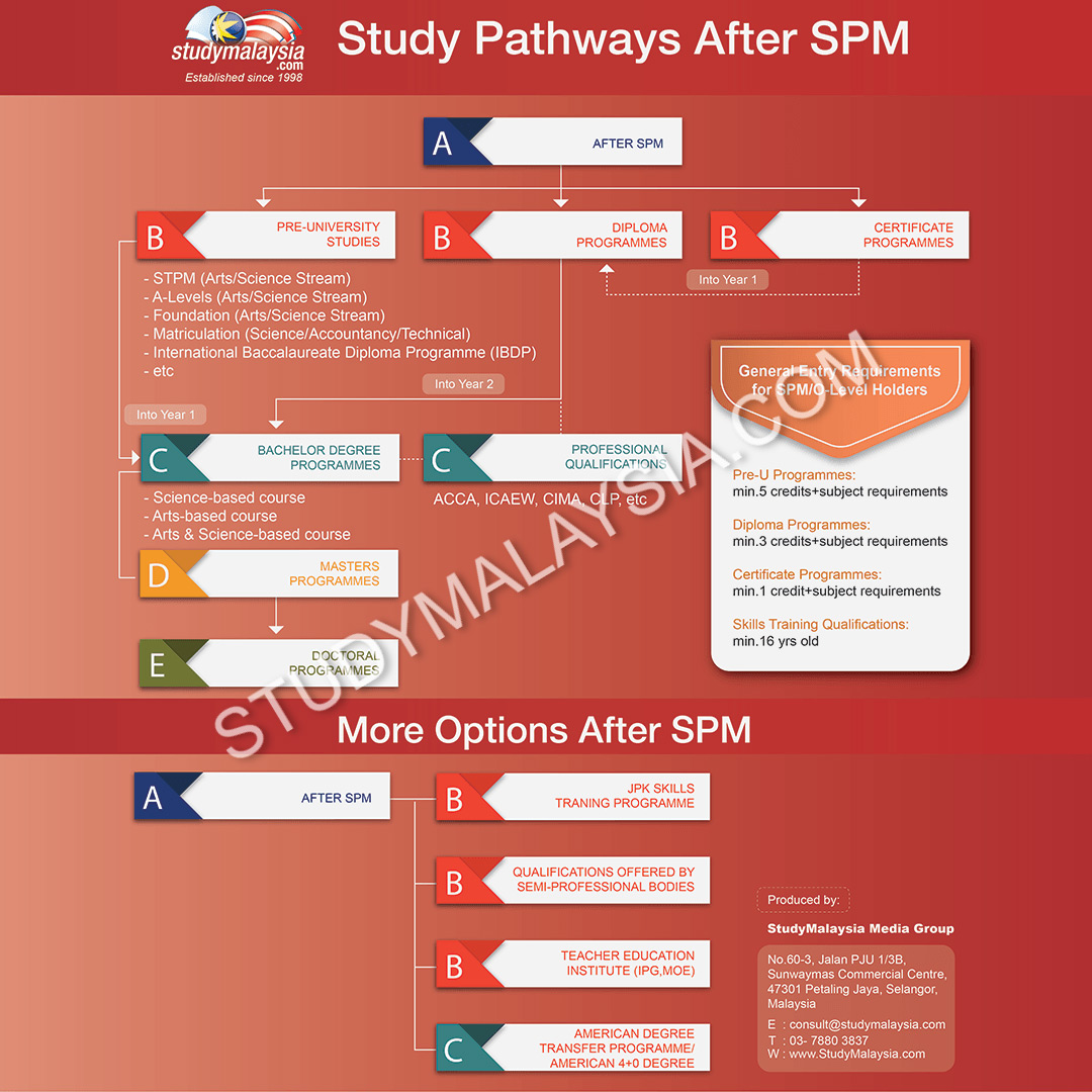 Study Pathways After SPM