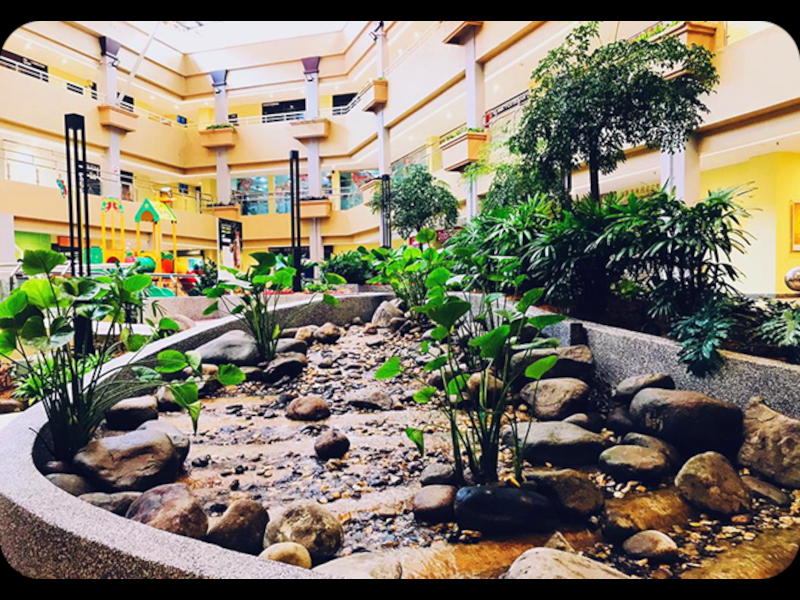 Centrepoint - garden