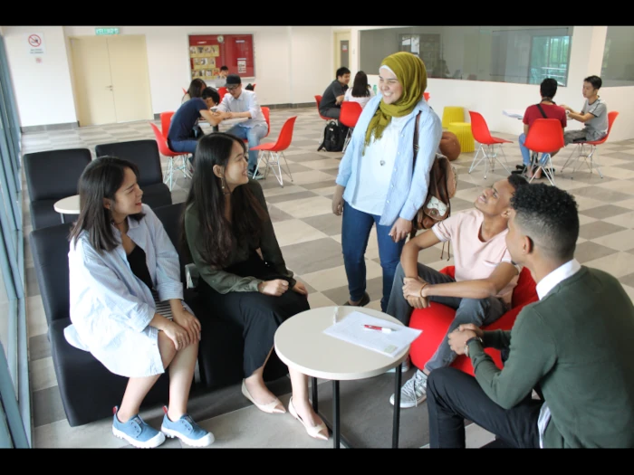 Study area