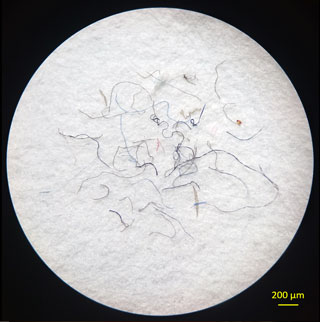 Magnified fibers and plastics found in salt