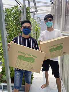 Sean Lee Juan Shen (right) and Eddie Soong Chuk Ming proudly carrying the organic produce from their established aquaponics, the fruits of APU’s Sandbox Incubation Centre.