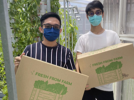 Urban E-Farm Founded by Student-Entrepreneurs of A Start-Up Incubator - StudyMalaysia.com