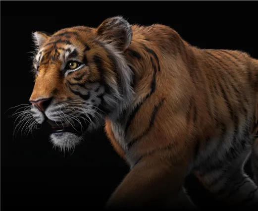 Diploma in Film Visual Effects